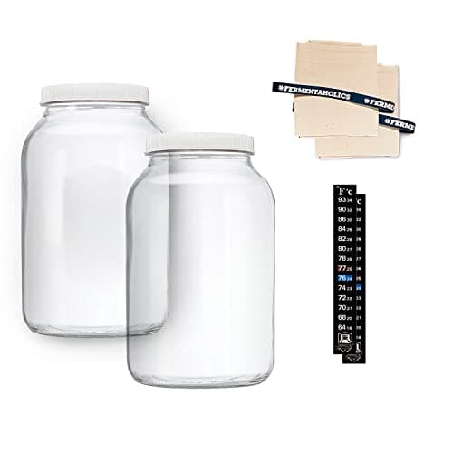 Fermentaholics One Gallon Plain Glass Kombucha Jars, 2-Pack
