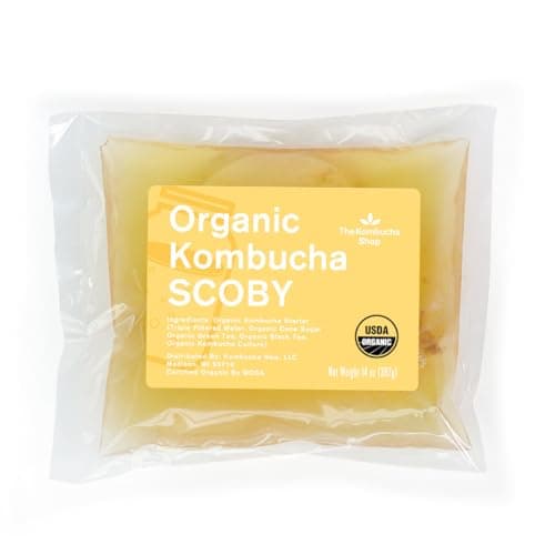 The Kombucha Shop Organic Kombucha SCOBY with Starter Liquid