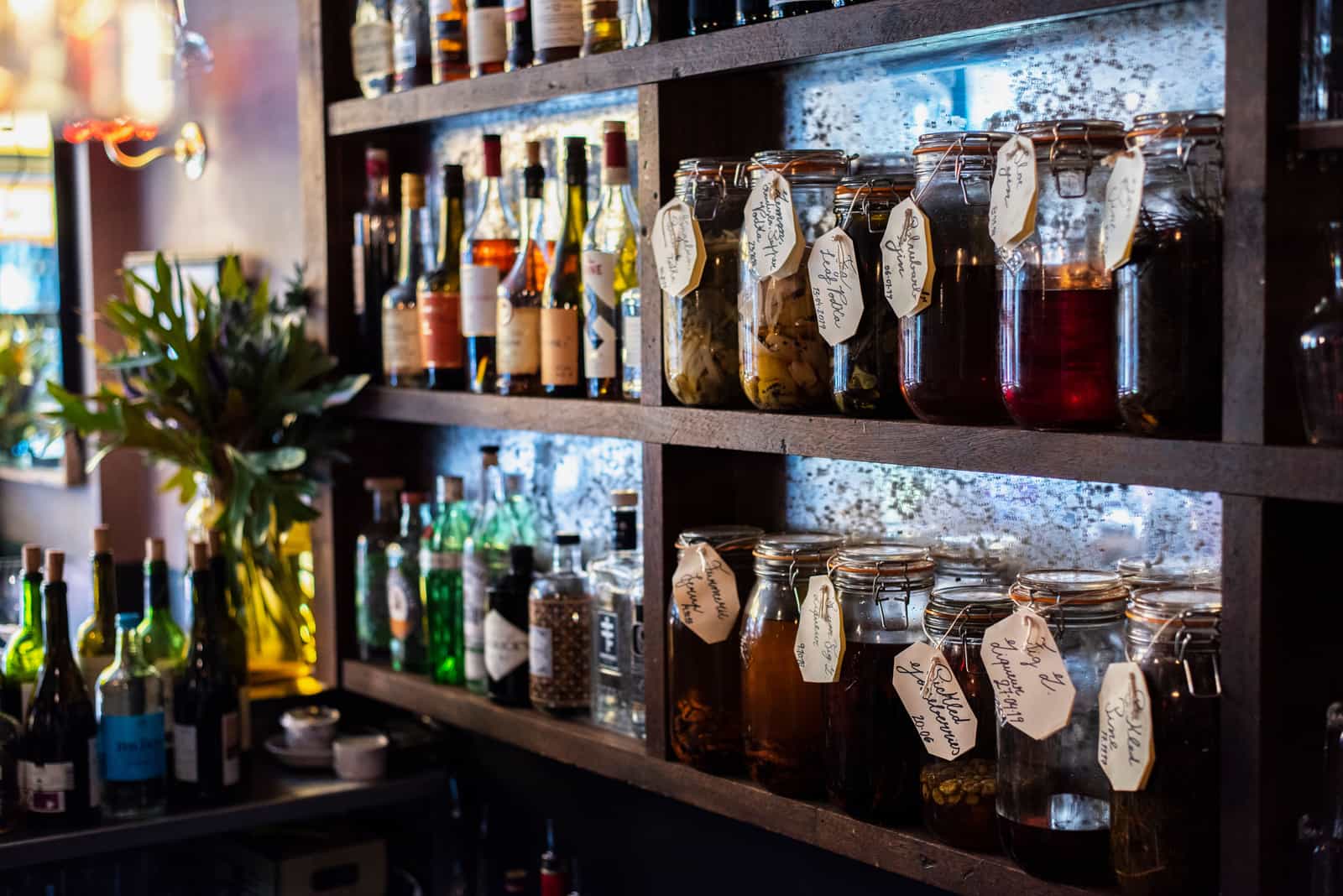 Several jars of fermenting liquid standing on a shelf in daylight