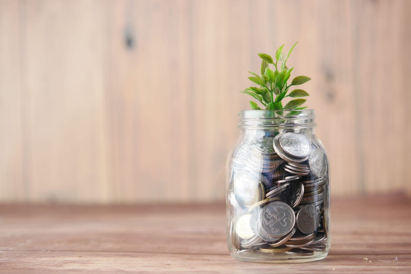 A glass jar filled with coins beside a small plant, photographed in daylight
